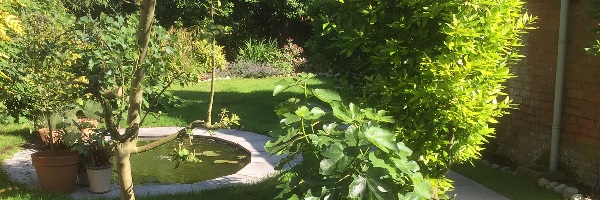 img09